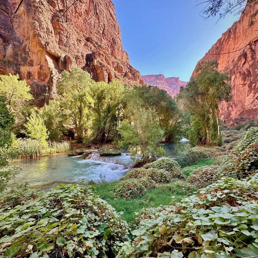 Havasu Falls - Local Flavor Near Me - Havasu Falls, Arizona