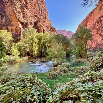 Havasu Falls - Local Flavor Near Me - Havasu Falls, Arizona