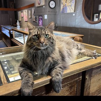 Goldsmith Silversmith - The latest addition to the Goldsmith family, Finn. - Jewelry Near Me - Omaha, Nebraska Goldsmith Silversmith - The latest addition to the Goldsmith family, Finn. - Jewelry Near Me - Omaha, Nebraska
