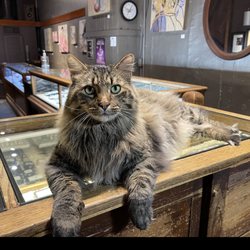 Goldsmith Silversmith - The latest addition to the Goldsmith family, Finn.