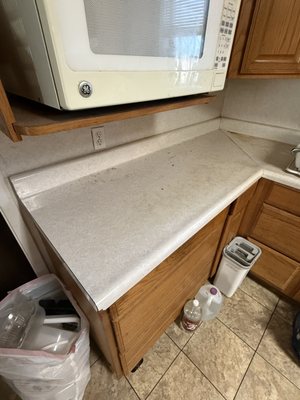 Squeaky Gonzales Cleaning Services