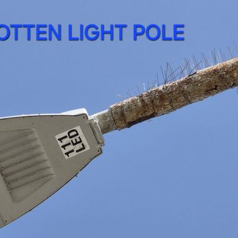 South Carlsbad State Beach - ROTTEN LIGHT POLE. IT GOING TO FALL SOON - Beaches Near Me - Carlsbad, California South Carlsbad State Beach - ROTTEN LIGHT POLE. IT GOING TO FALL SOON - Beaches Near Me - Carlsbad, California