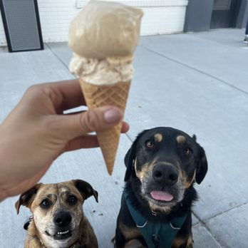 Em’s Ice Cream - Zoey wants the ice cream too - Ice Cream & Frozen Yogurt Near Me - Wheat Ridge, Colorado Em’s Ice Cream - Zoey wants the ice cream too - Ice Cream & Frozen Yogurt Near Me - Wheat Ridge, Colorado