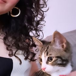 BC Nails Spa - Using this kitty to show off my fresh gel mani by Lina