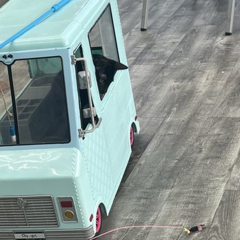 Hawai'i Cat Café - Kitty in a bus! - Pet Adoption Near Me - Honolulu, Hawaii