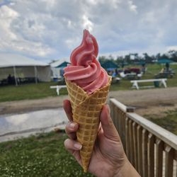Barrie Hill Farms