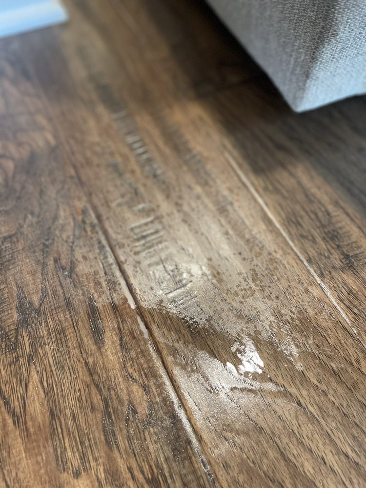 SAFEDRY® CARPET CLEANING MADISON Updated October 2024 24 Photos