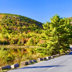 Scenic Acadia Tours