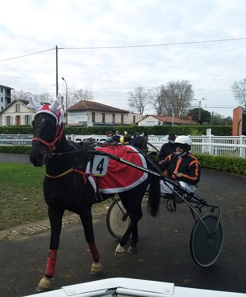 HIPPODROME DE TOULOUSE 1 Chem des Courses, Toulouse, France