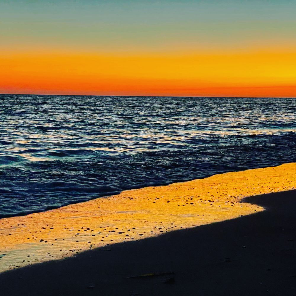 Passage Key Dolphin Tours - sunset! - Snorkeling Near Me - Bradenton Beach, Florida