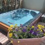 Photo of Mountain Life Hot Tubs