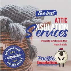 Pacific Insulation & Mold Remediation