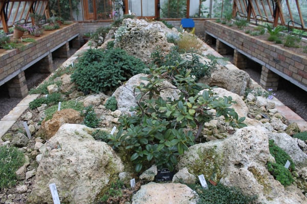 Cambridge University Botanic Garden by null