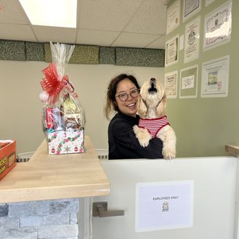 Abby's Dog Grooming Salon - Chika with Abby - Pet Groomers Near Me - Honolulu, Hawaii