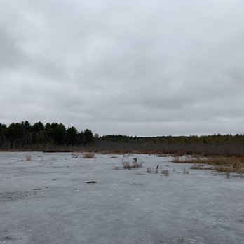 Mass Audubon - Stony Brook - Education Near Me - Norfolk, Massachusetts Mass Audubon - Stony Brook - Education Near Me - Norfolk, Massachusetts