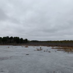 Mass Audubon - Stony Brook