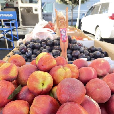 Temecula Farmer’s Market by null