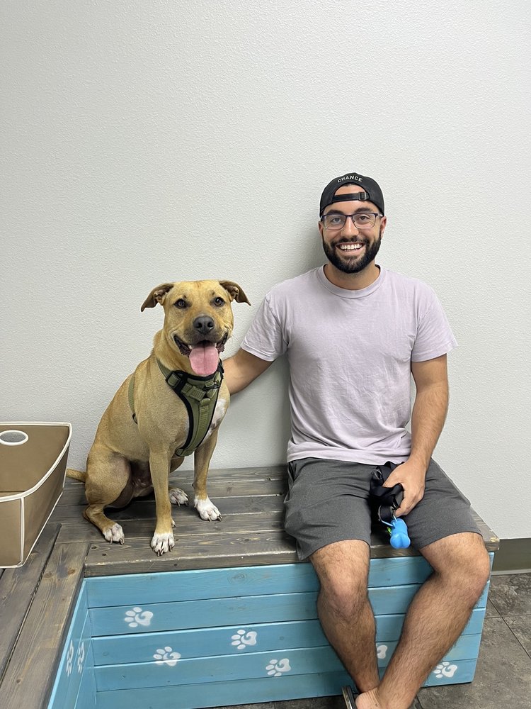 Salty Paws Animal Hospital Image