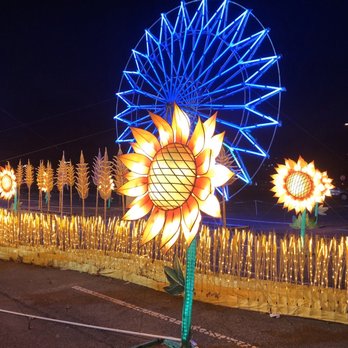 Hello Panda Festival - Festivals Near Me - Corona, New York