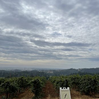 Furioso Vineyards - View from the park king lot - Wine Tasting Room Near Me - Dundee, Oregon
