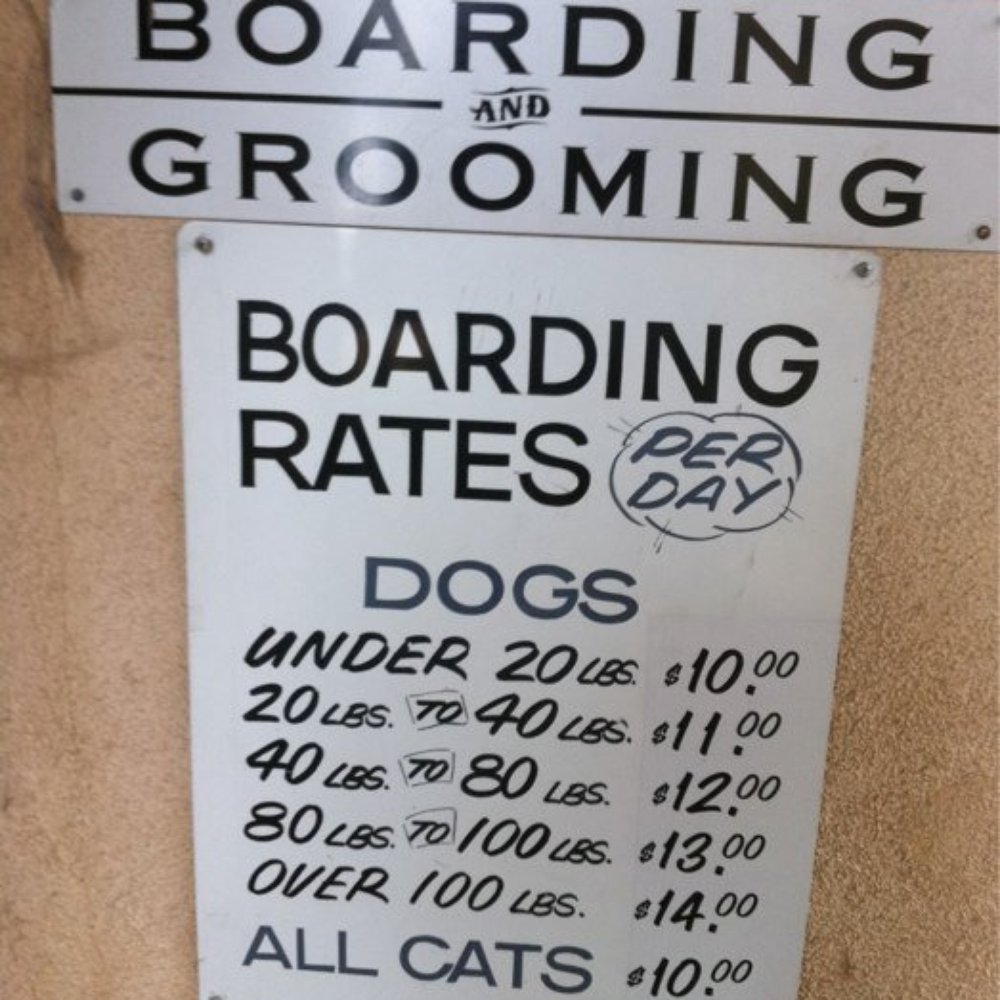 Ardezz Kennels - Pet Sitting Near Me - South El Monte, California Ardezz Kennels - Pet Sitting Near Me - South El Monte, California