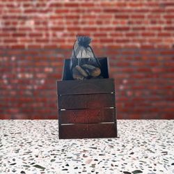 Desert Witchy Chix - Customized box with natural stone ruins