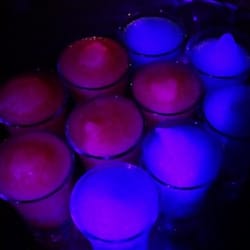 Café Hoe - Slushice shoooots