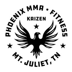 Phoenix MMA and Fitness