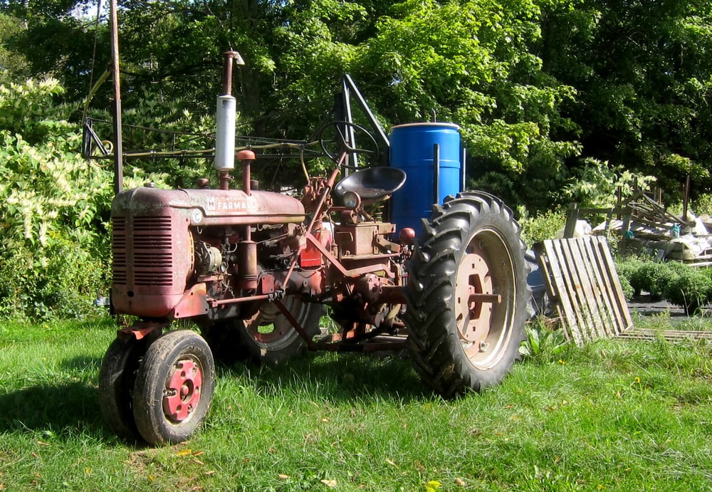Food from Cote's Farm