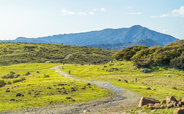 Ring Mountain Preserve by null