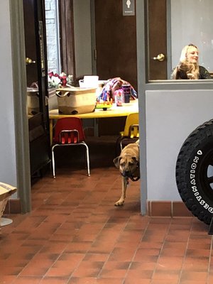 DUBOIS COUNTY TIRE&SUPPLY INC