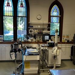 Goldens Bridge Veterinary Care Center - Dental
