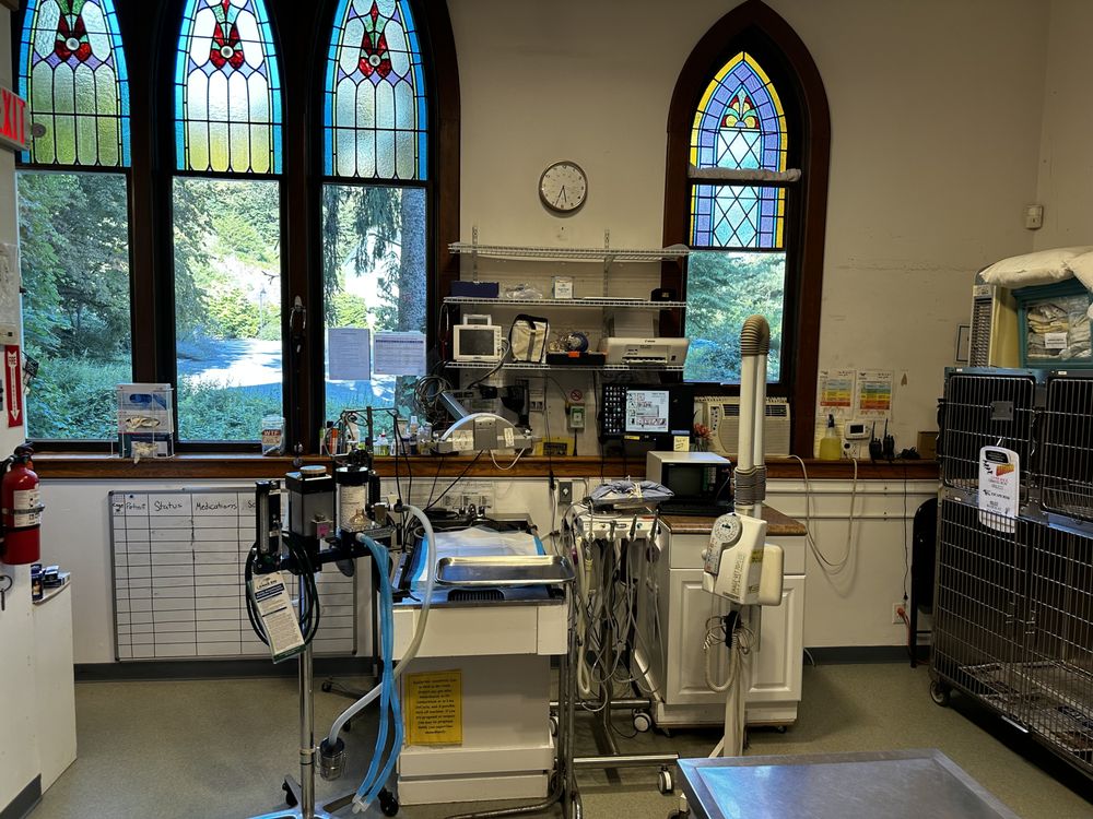 GOLDENS BRIDGE VETERINARY CARE CENTER Updated September 2024 43