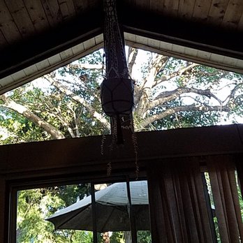 Bellizzi Tree Service - After - Tree Services Near Me