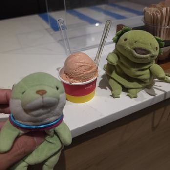 Pints of Joy - Ice Cream & Frozen Yogurt Near Me - Sunnyvale, California Pints of Joy - Ice Cream & Frozen Yogurt Near Me - Sunnyvale, California