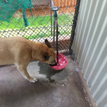 Animal Quarantine - Public Services & Government Near Me - Aiea, Hawaii Animal Quarantine - Public Services & Government Near Me - Aiea, Hawaii