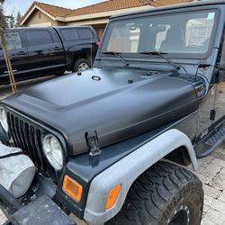 Bas Pro Customs