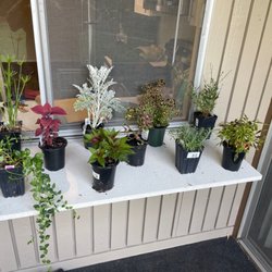 Homestead Nursery