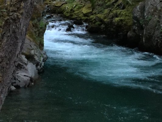 Ohanapecosh Campground by null