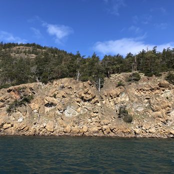 Outer Island Expeditions - Falcon viewing - Fishing Near Me - Anacortes, Washington