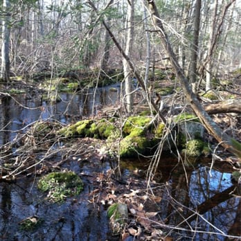 Pardon Gray Preserve - Hiking Near Me - Tiverton, Rhode Island