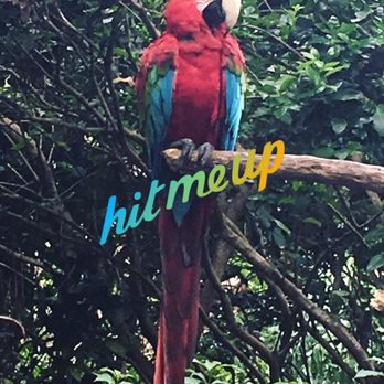 Discovery Cove - Amusement Parks Near Me - Orlando, Florida