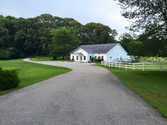 science plan digestive care