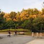 Photo of Montville Community Park