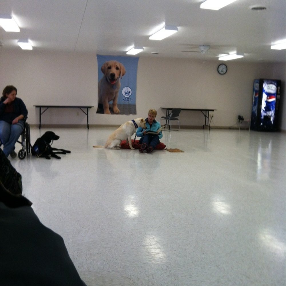 Ksds - Facility dog help to read a book - Pet Services Near Me - Washington, Kansas Ksds - Facility dog help to read a book - Pet Services Near Me - Washington, Kansas