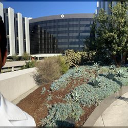 Other Doctor's Refused to take my case because so most-difficult:  Cedar Sinai recommended professor    Yosef Nasseri, MD   Saved My Life.