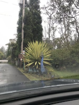 Aloha Junction Bed and Breakfast by null
