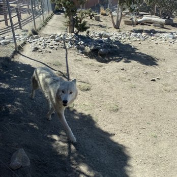 Animal Ark - Zoos Near Me - Reno, Nevada