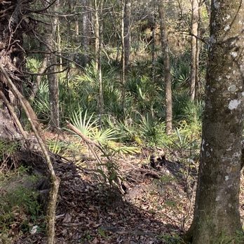 Ichetucknee Springs - Hiking trail - Rafting/Kayaking Near Me - Fort White, Florida Ichetucknee Springs - Hiking trail - Rafting/Kayaking Near Me - Fort White, Florida