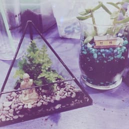 Our terrariums :) jardins class Our terrariums :) jardins class